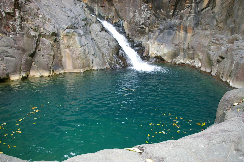 Kaz Creole Aventure Tropicale Insolite, Fibre, Jardin Et Jacuzzi Prives Saint-Francois  Eksteriør billede