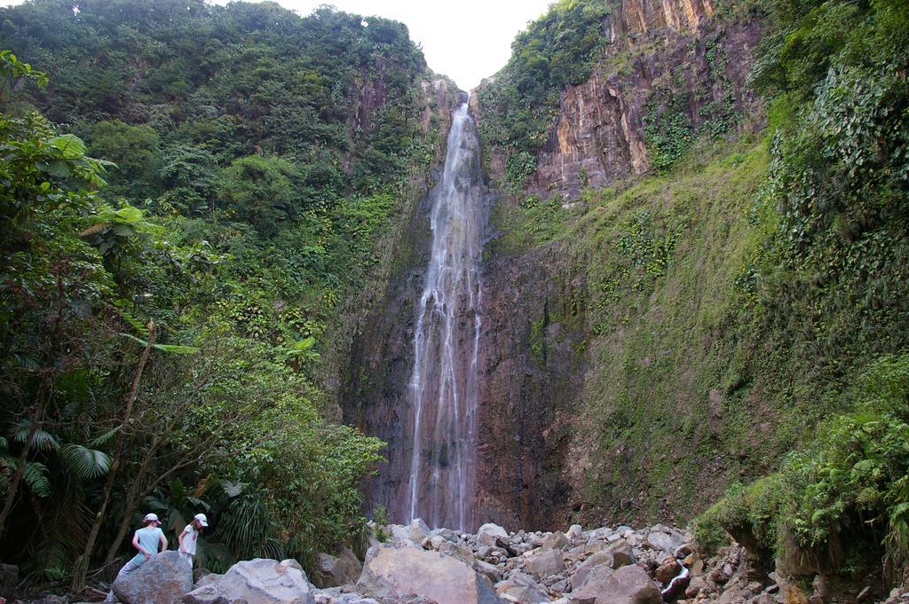 Kaz Creole Aventure Tropicale Insolite, Fibre, Jardin Et Jacuzzi Prives Saint-Francois  Eksteriør billede