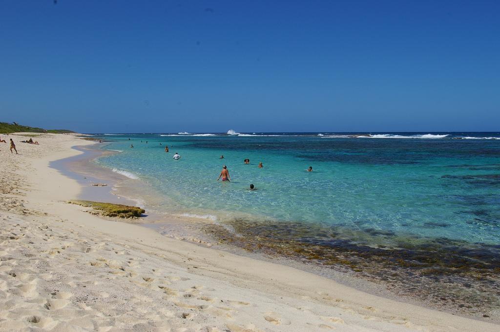 Kaz Creole Aventure Tropicale Insolite, Fibre, Jardin Et Jacuzzi Prives Saint-Francois  Eksteriør billede