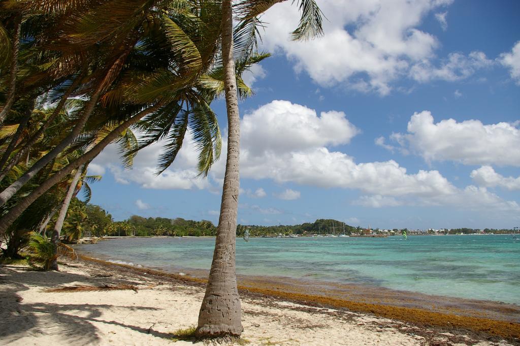 Kaz Creole Aventure Tropicale Insolite, Fibre, Jardin Et Jacuzzi Prives Saint-Francois  Eksteriør billede