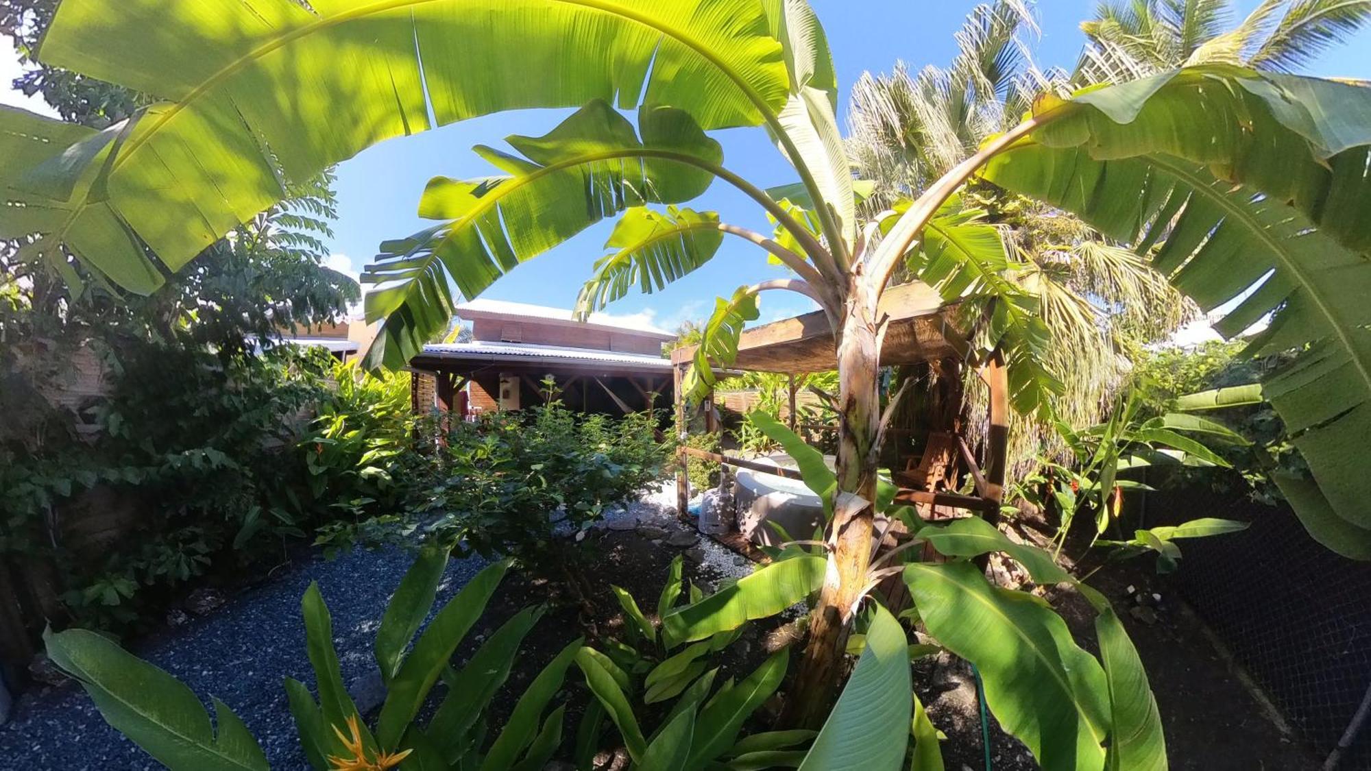 Kaz Creole Aventure Tropicale Insolite, Fibre, Jardin Et Jacuzzi Prives Saint-Francois  Eksteriør billede